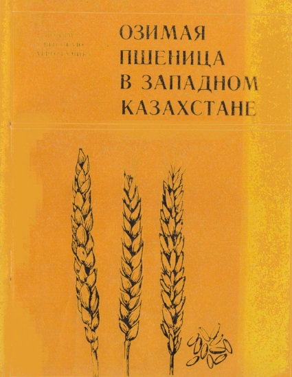 Озимая пшеница в Западном Казахстане